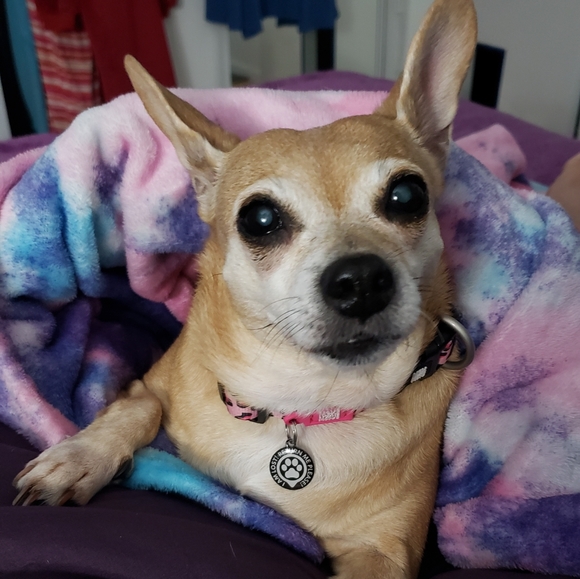 Meet your Posher, Janet - Picture 4 of 5